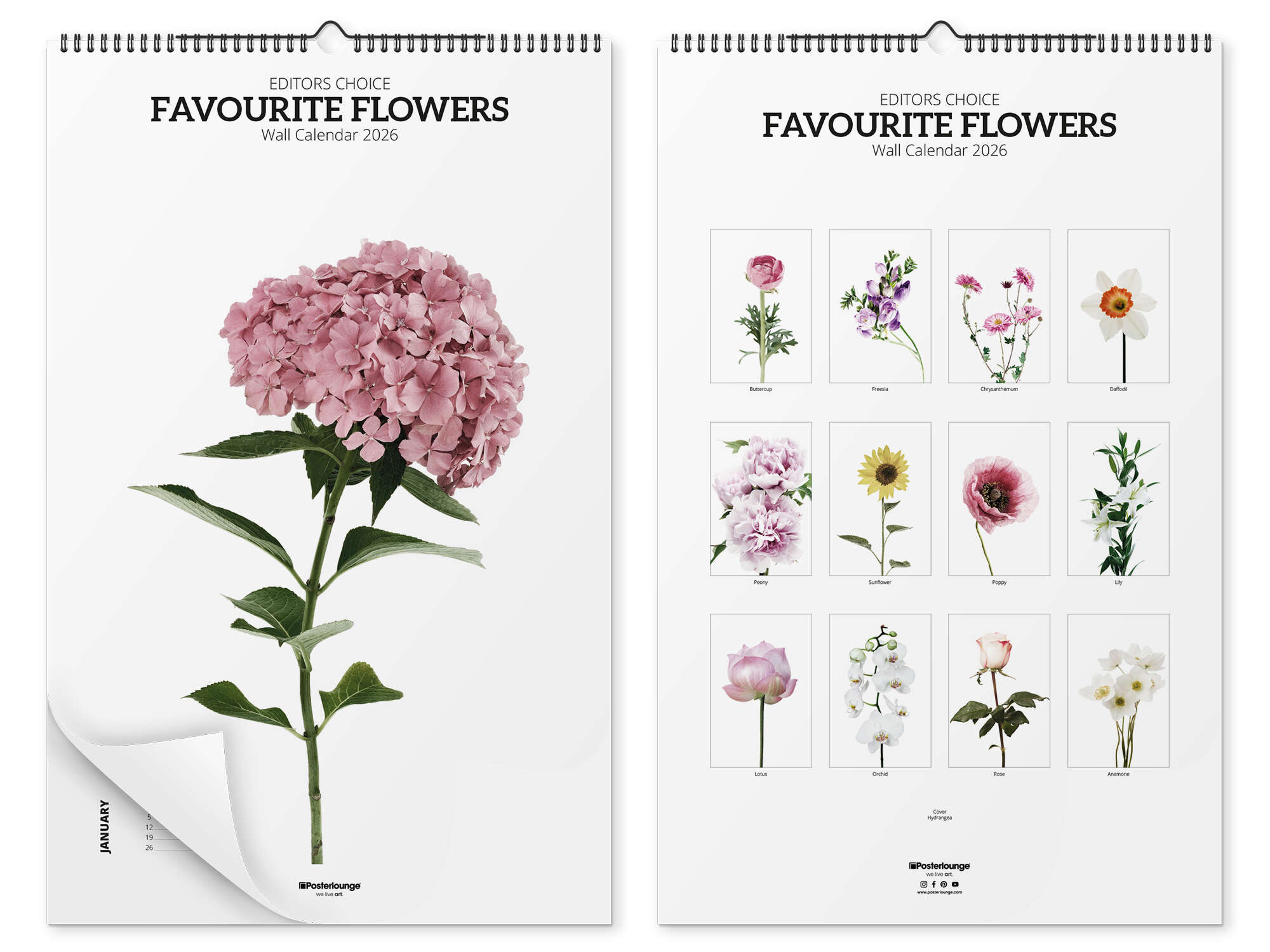 Adieu aux bouquets traditionnels : en 2026, un style floral inédit transforme nos intérieurs