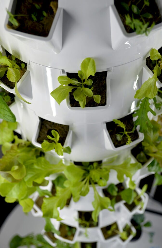 Comment un ras-le-bol des légumes insipides a donné naissance à ce potager vertical innovant