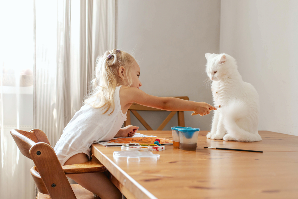 « Il ne grimpe plus sur la table » : nos astuces faciles qui ont transformé nos repas