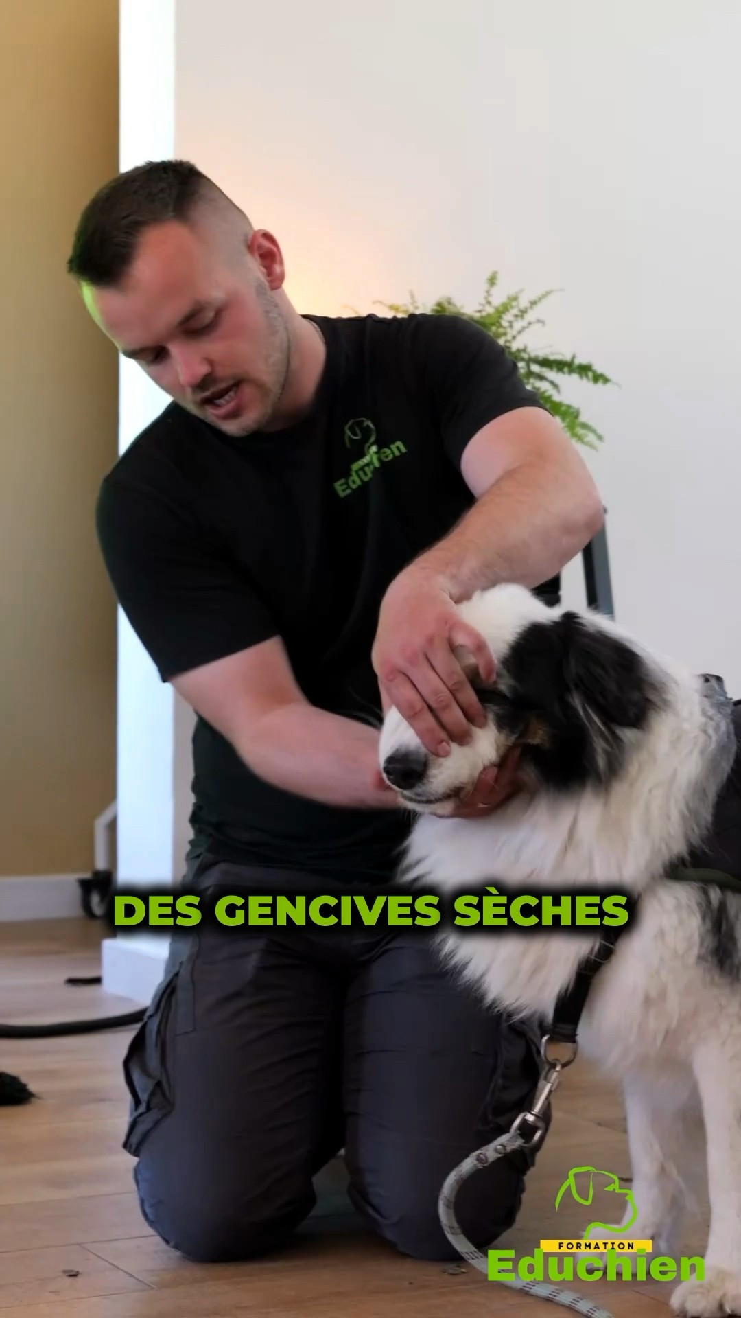 Nouvelle année, nouvelles aventures : découvrez l’astuce Centrakor à moins de 4 € qui simplifie enfin l’hydratation de votre chien en balade !